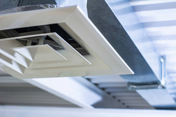 Best Air Duct Mold Removal  in Delmar, MD